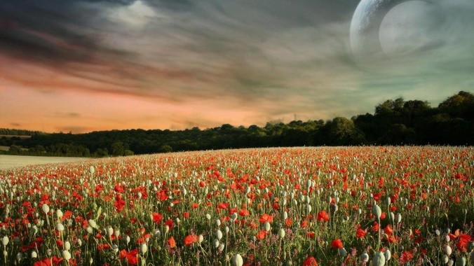 熊猫烧香技术含量高吗？高在哪里？